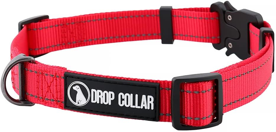 Drop Collar Reflective Nylon Dog Collar with Patent Pending Upright Leash Connection Point