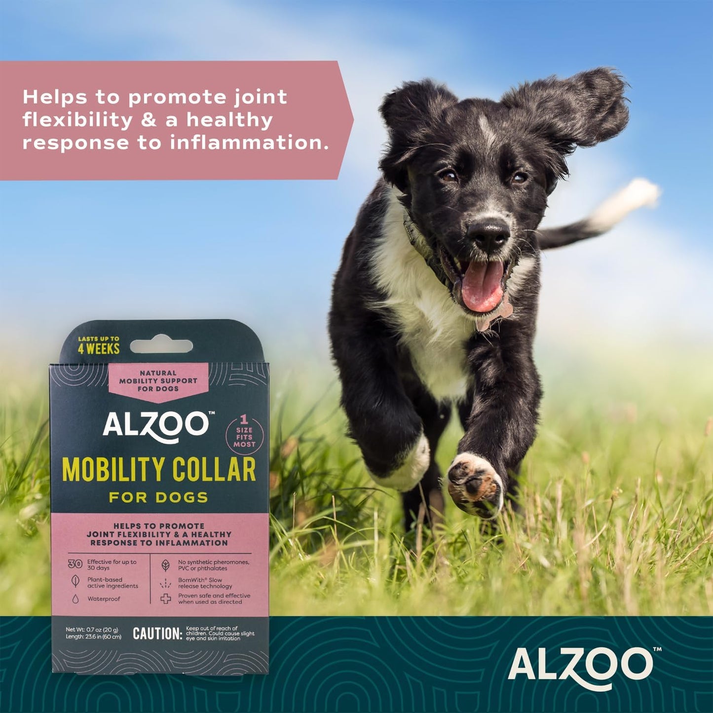 ALZOO Mobility Collar for Dogs