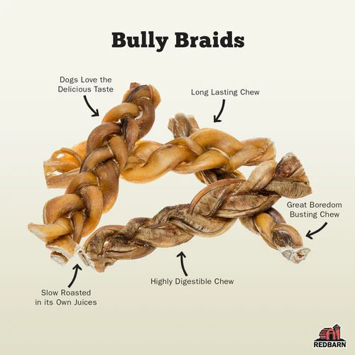 Redbarn 5" Braided Natural Bully Sticks for Dogs (1 Stick)